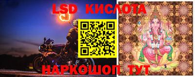 ГАЛЛЮЦИНОГЕННЫЕ ГРИБЫ Ипатово