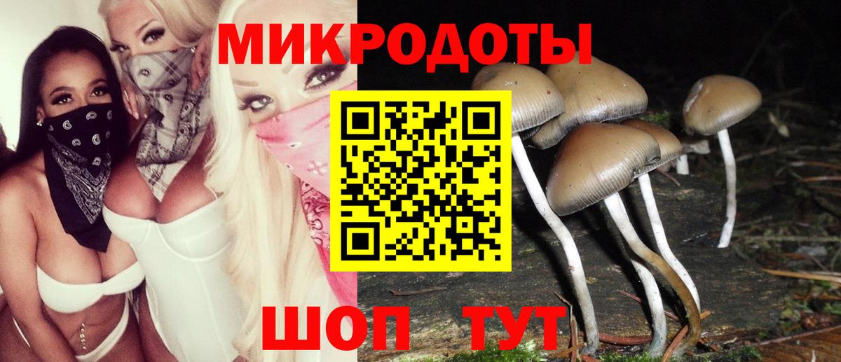 Галлюциногенные грибы Psilocybine cubensis Якутск